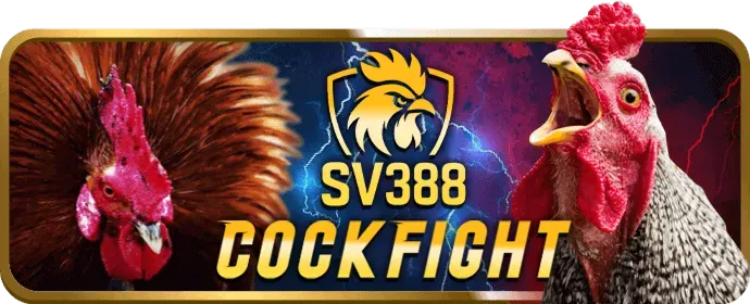 Cá cược thể thao và đá gà tại 8win55